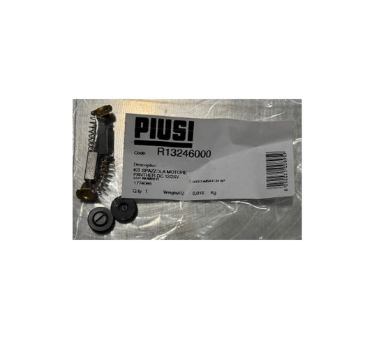 Borstar för Piusi Panther 12/24V